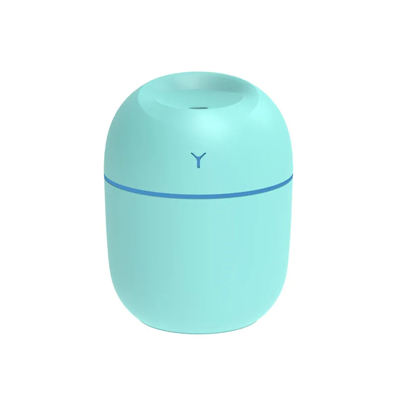 Portable Ultrasonic Humidifier Essential Oil Diffuser with LED Light